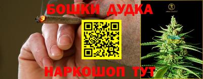 МДПВ Лесосибирск